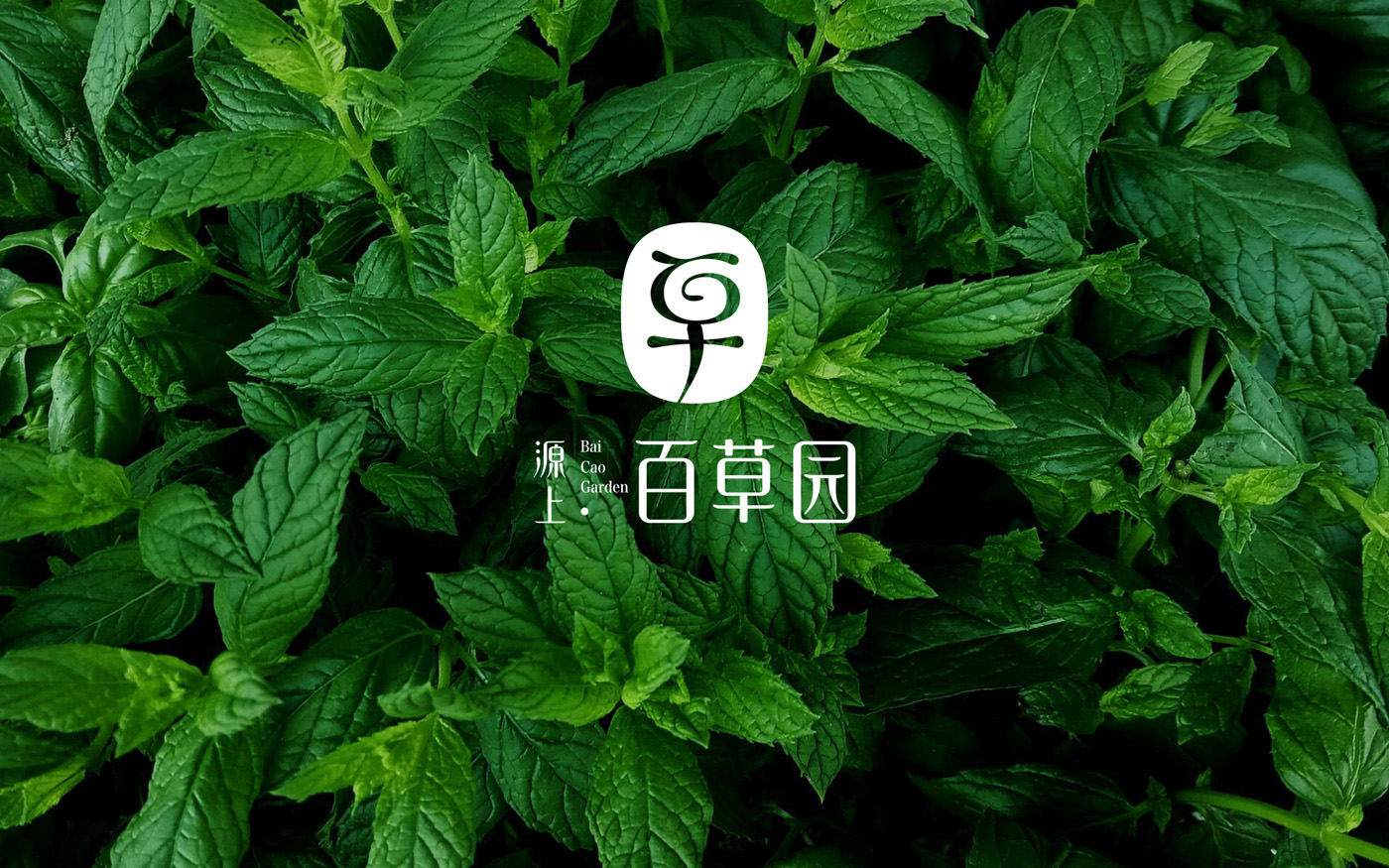 百草园LOGO设计